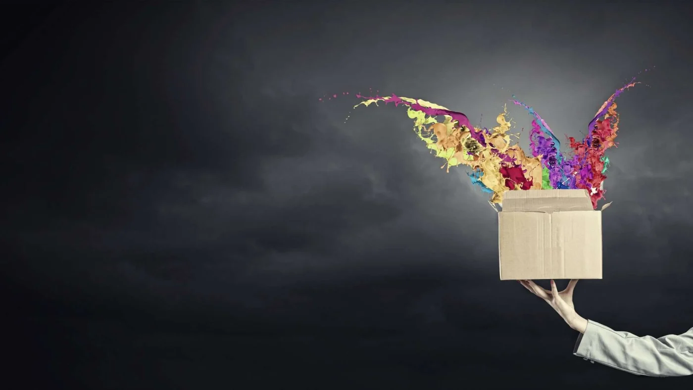 Creative Shading Solutions San Francisco Bay Area The Home Living Company A hand holds out a brown box that has colors exploding from within