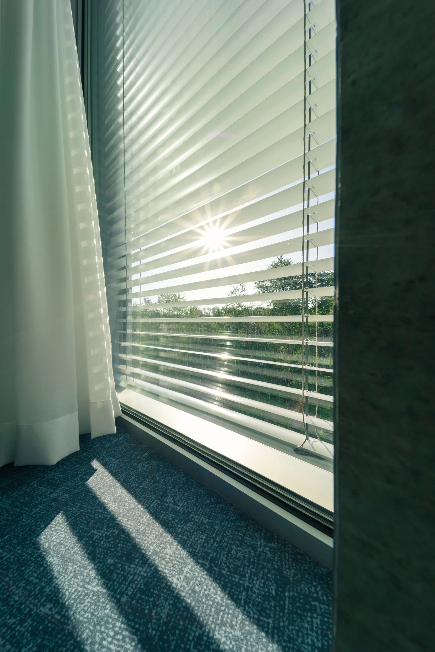 Sun shining through window with blinds