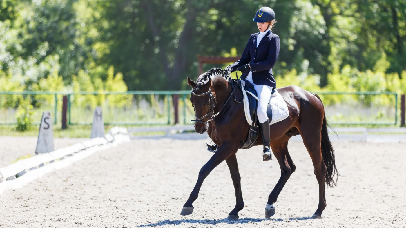 Experienced Journeyman Installers - San Francisco Bay Area - The Home Living Company An experienced equestrian rider on her mount